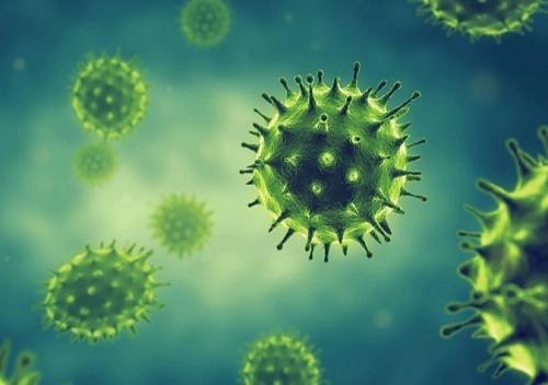 Nhiễm virus là nguyên nhân gây viêm amidan